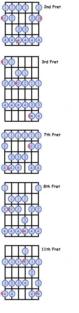 Major Scales Along The Neck Major Scales
